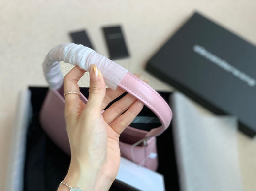 Aw大王新款hobo 🔒粉色 商品图4