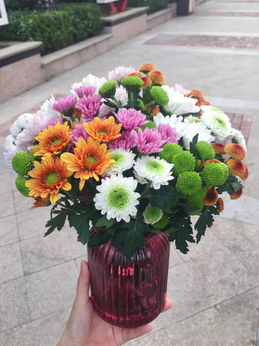 小菊（5枝）颜色随机先到先得 商品图0