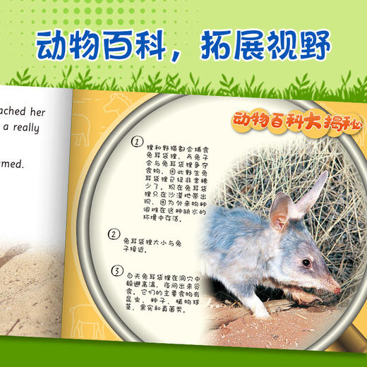 动物成长故事英语进阶有声读物第5级下 商品图3