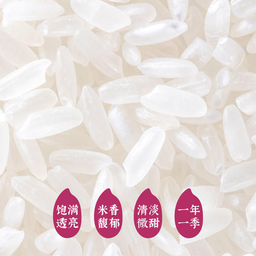 【惠州外运】隆平农场 袁隆平大米 吃饱吃好 五常有机大米2.5kg*4 商品图2