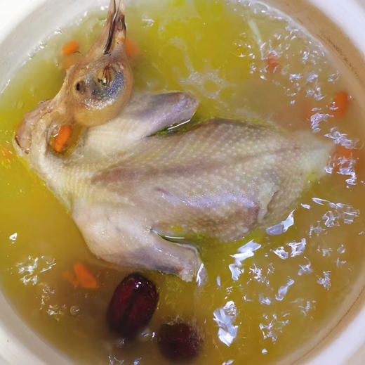 【下单后48小时左右发货】安徽淮南飞翔鸽 青年鸽2只，半年以上/老鸽子2只，一年以上。 商品图5