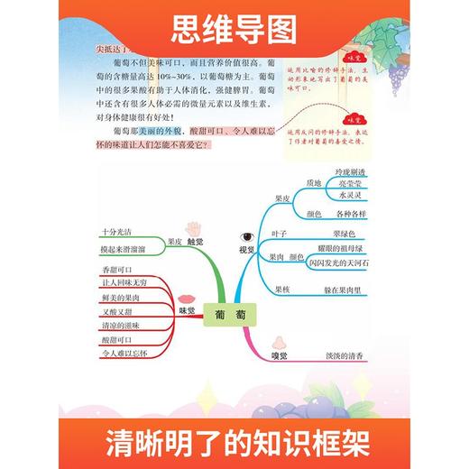 (仓发) 同步作文六年级上册 下册通用 五感法写作文  素材积累写作方法技巧讲解小学生满分作文书（全一册)/江西人民出版社/李春雷/9787210129035 商品图3