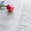 这感觉真棒！ 查尔斯·斯彭斯 著 心理学 商品缩略图2