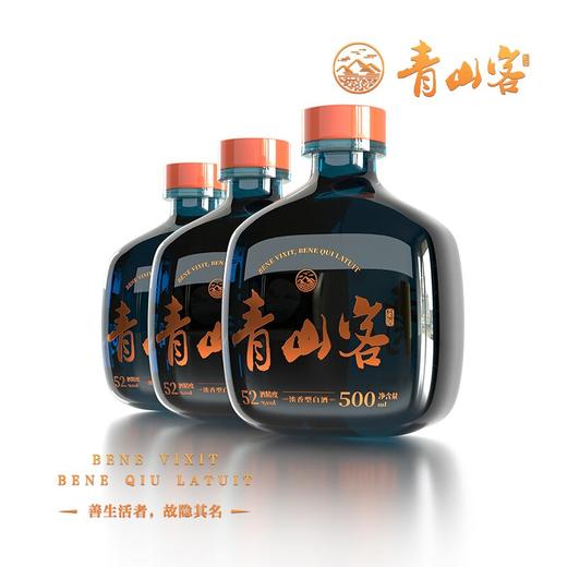 【推荐】青山客 浓香型白酒52% 500ML*2双瓶装 商品图2