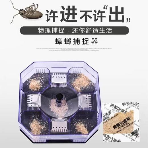 【买就送诱饵！环保无毒更放心】蟑螂克星，蟑螂诱捕器，只杀螂不伤人，蟑螂药屋捕蟑灭杀蟑螂器，厨房室内一扫尽蟑螂药胶饵剂 商品图0