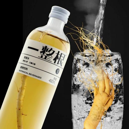 一整根人参水1号480ml（T） 商品图2