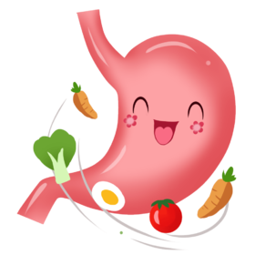 脾胃虚弱需要怎么调理