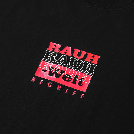 DPLS X RWB METALLIC PRINT LOGO TEE 商品图4