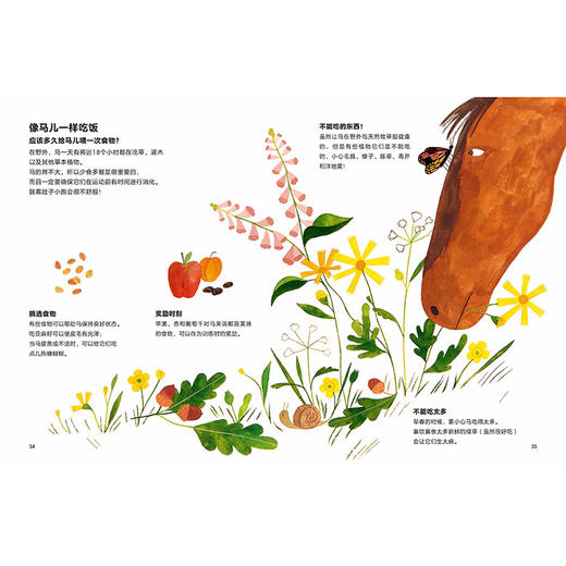 马儿为什么不打嗝?(聪明豆.人文科普绘本馆) 商品图5