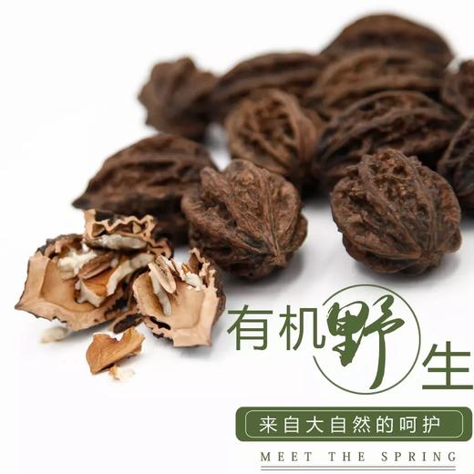 雪博士||有机坚果松子系列小兴安岭野生核桃仁开口松子营养干果零食 商品图4
