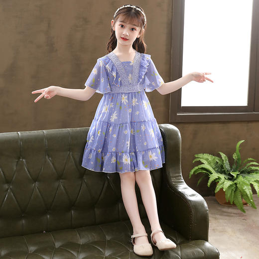 儿童洋气碎花刺绣裙子中大童裙LS-03P530 商品图2