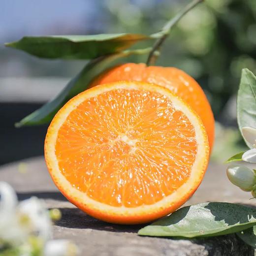 秭归甜橙（12#礼盒装) 3.5kg/箱（包装请以实际收到的为准）【CZ】 商品图4