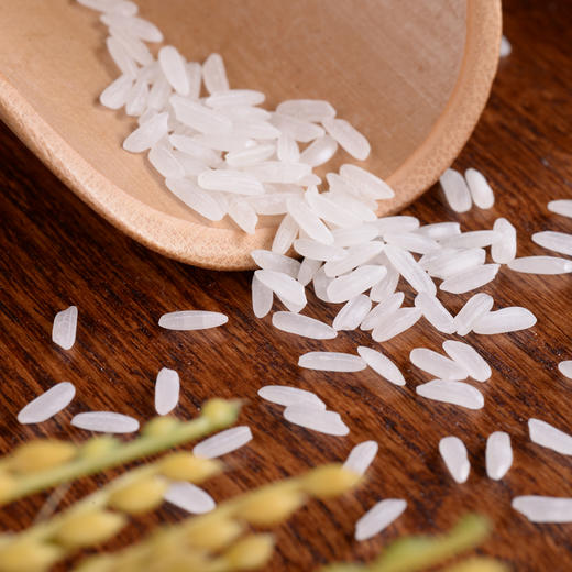 桂花甲宜馥臻稻10kg/袋 商品图1