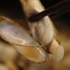 下酒好食材 | 福建莆田带泥活海蛏子 推荐倒插蛏清蒸 商品缩略图7