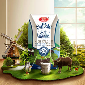 左江水牛高钙牛奶210ml*10
