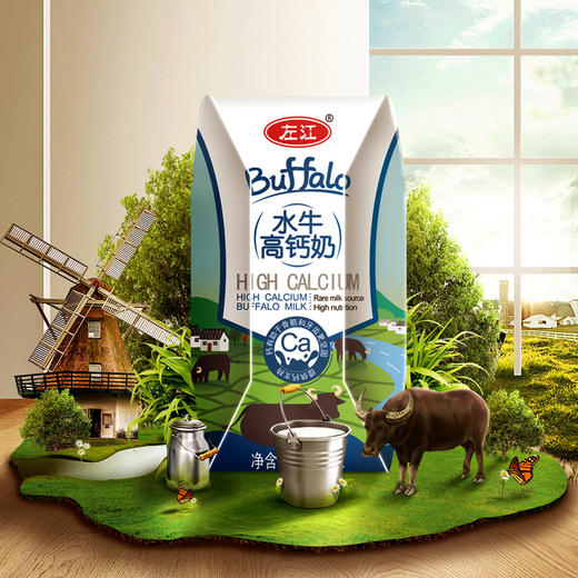 左江水牛高钙牛奶210ml*10 商品图0