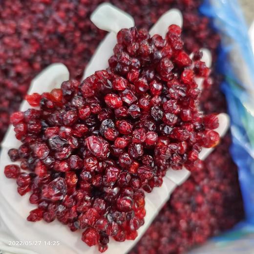 蔓越莓果干 大兴安岭的红宝石 轻轻松松实现蔓越莓干自由 为你的美 保驾护航 商品图5