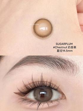 店主推荐丨奶香栗·Sugarplum丨14.5mm（年抛/2片装)