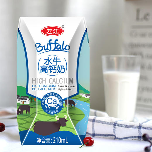 左江水牛高钙牛奶210ml*10 商品图3