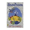 英文原版 Snowbone 雪骨 商品缩略图0