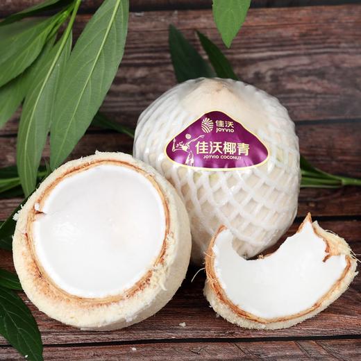 佳沃椰青4粒（含开椰器+吸管）（包装请以实际收到的为准）【CZ】 商品图1