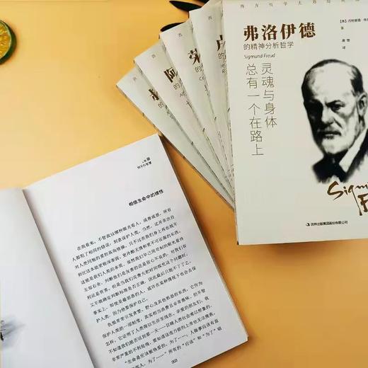 《经典哲学六部曲》 西方哲学大师 | 哲学可以醒脑 培养自己独立思考能力 经典哲学六部曲 商品图3