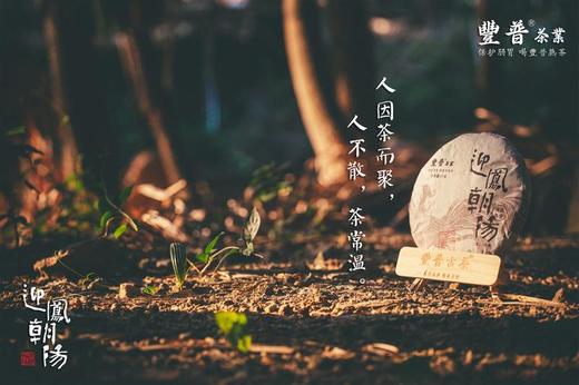 2022 迎凤朝阳 布朗山宫廷料 357克 七子饼茶 商品图3