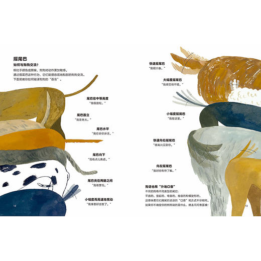 聪明豆.人文科普绘本馆1：揭秘人类的动物朋友（猫+狗） 商品图3