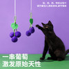 zeze-水果剑麻球玩具-B （包邮） 商品缩略图3