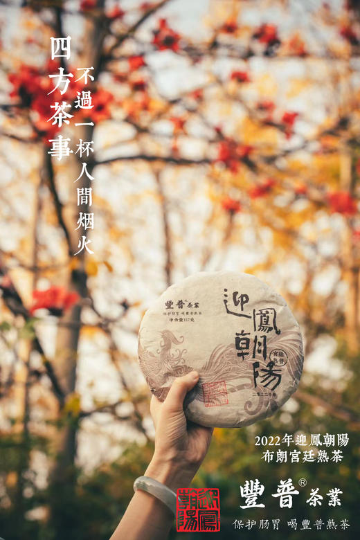 2022 迎凤朝阳 布朗山宫廷料 357克 七子饼茶 商品图8