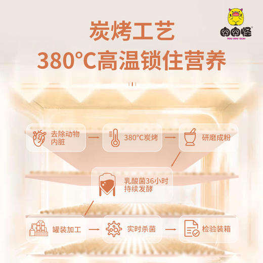 肉肉怪氮气猫条营养增肥发腮三文鱼金枪鱼味宠物猫咪成猫幼猫零食60g 商品图2