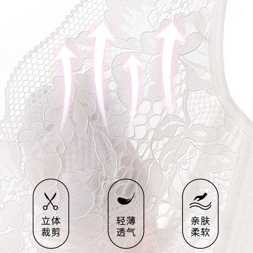 【秒杀品不退不换】皇家丽美大胸显小调整型薄款文胸收副乳聚拢防下垂大码文胸WJ032-1 商品图8