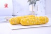 玉米皇后水果玉米4.5斤现摘新鲜糯甜玉米棒子爆浆生嫩即食包邮蔬菜  全国包邮 商品缩略图3
