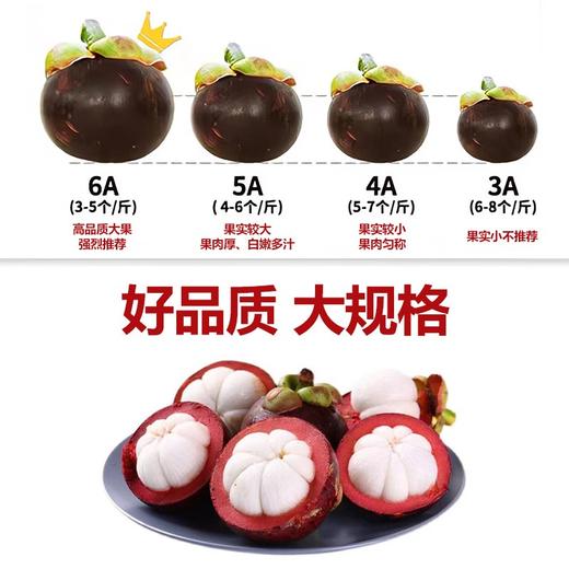进口泰国5A级山竹（1.5kg/箱）（包装请以实际收到的为准）【CZ】 商品图1