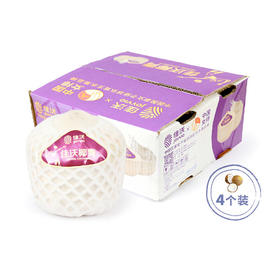 佳沃椰青4粒（含开椰器+吸管）（包装请以实际收到的为准）【CZ】