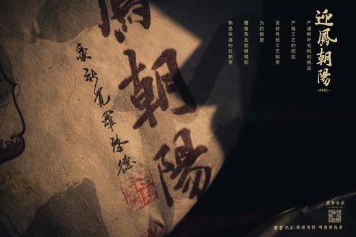 豐普古茶 2021年迎凤朝阳 普洱茶熟茶 商品图2