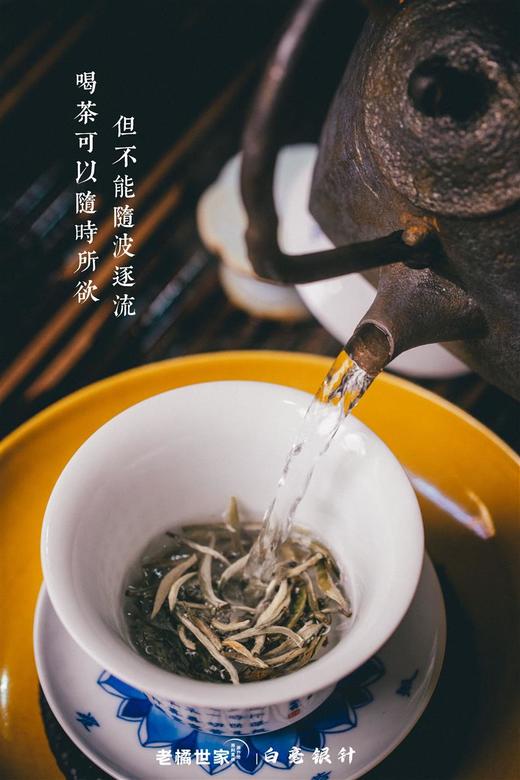 白毫银针荒野头采银针2022年特级散茶白茶 商品图7