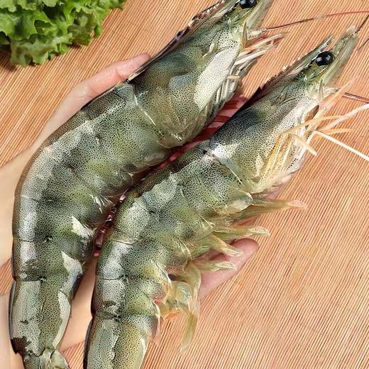 冷冻【顺丰包邮】海洋大虾2030超大新鲜速冻 商品图1