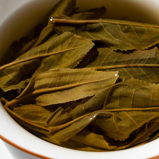 德丰昌【高山乔木】2022年普洱生茶357克 商品图6