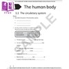 NEW Cambridge Primary Science Workbook 6 with Digital Access (1 Year) 剑桥小学科学练习册六年级 商品缩略图1