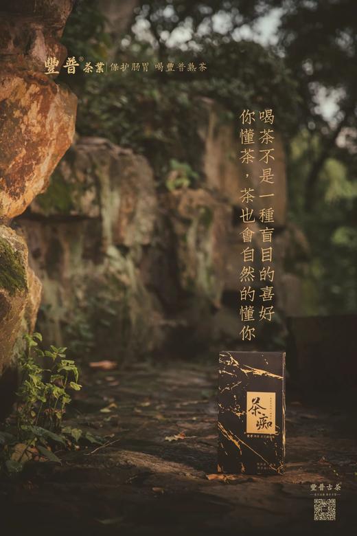 【样板链接】豐普古茶 2021 茶痴 易武纯料 普洱茶熟茶 100克/套 商品图5