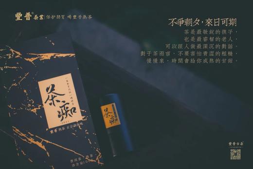 【样板链接】豐普古茶 2021 茶痴 易武纯料 普洱茶熟茶 100克/套 商品图4