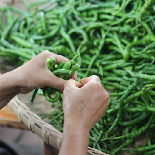 烧椒酱200g/瓶（辣椒267项0检出） 商品图4