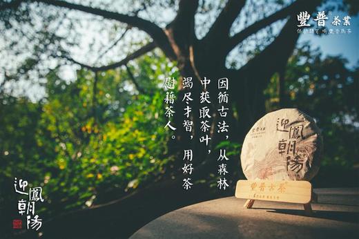 2022 迎凤朝阳 布朗山宫廷料 357克 七子饼茶 商品图2