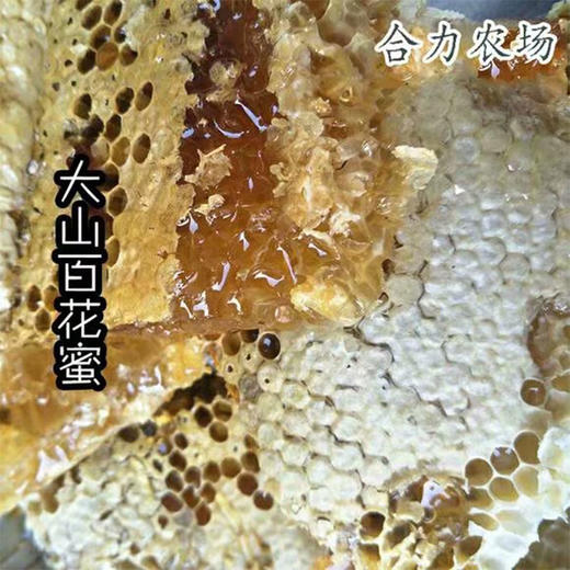 源秋兴 百花蜂蜜500g 商品图0