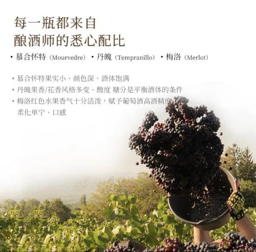 【国际奖项加身】奥瑞安天使干红葡萄酒 法国进口 14.5%vol 商品图4