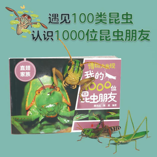 博物大发现 我的1000位昆虫朋友 全5册 7-10岁 唐志远等 著 科普百科 商品图3