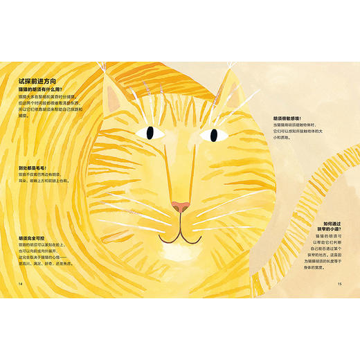 猫猫为什么喵喵叫?(聪明豆.人文科普绘本馆) 商品图5