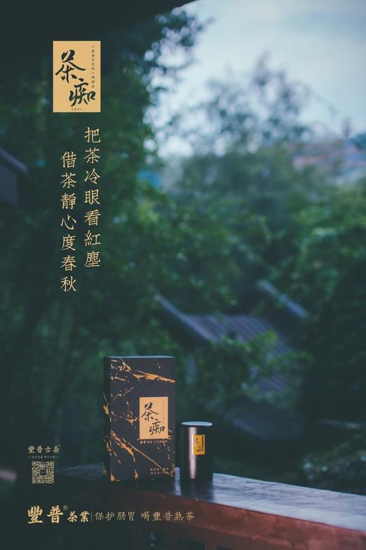 【样板链接】豐普古茶 2021 茶痴 易武纯料 普洱茶熟茶 100克/套 商品图6