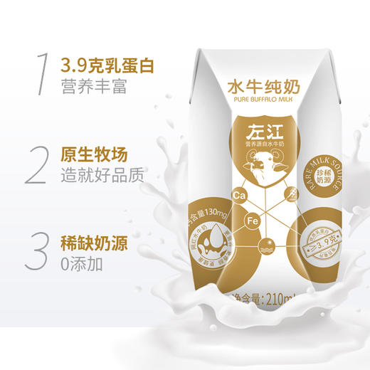 左江水牛纯牛奶210ml*10 商品图5